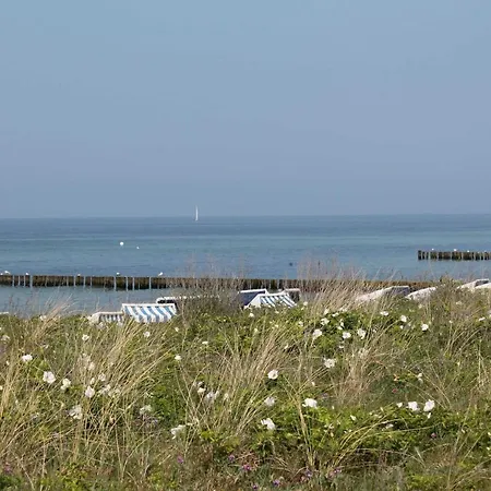 Ferienhaus Wildrose 2 Kuehlungsbor Ostseebad Kühlungsborn